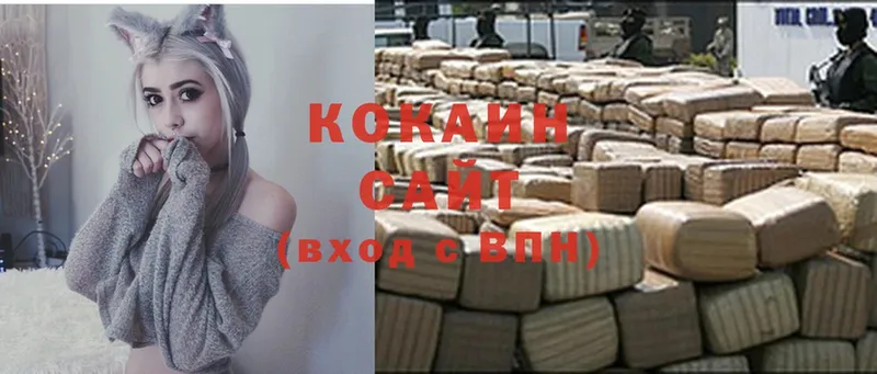 Cocaine FishScale  Козьмодемьянск 