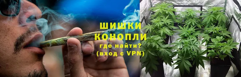 где можно купить наркотик  Козьмодемьянск  Конопля Ganja 